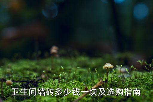 卫生间墙砖多少钱一块及选购指南