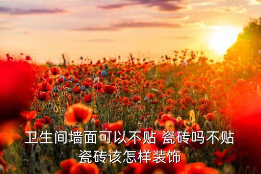  卫生间墙面可以不贴 瓷砖吗不贴 瓷砖该怎样装饰