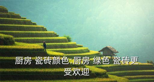 绿色瓷砖配门效果图,卫生间绿色瓷砖装修效果图