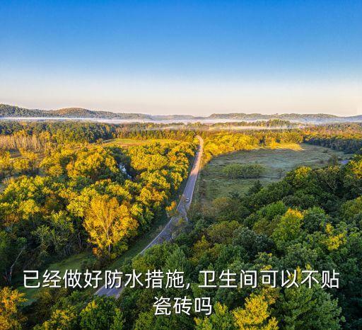 已经做好防水措施, 卫生间可以不贴 瓷砖吗