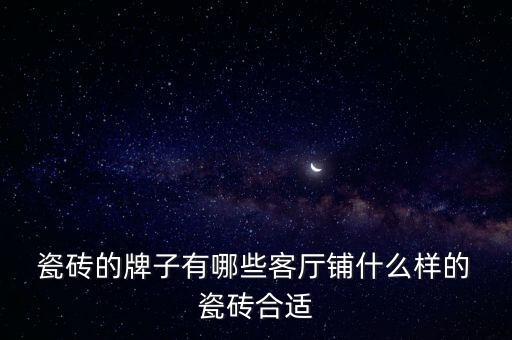 瓷砖的牌子有哪些客厅铺什么样的 瓷砖合适