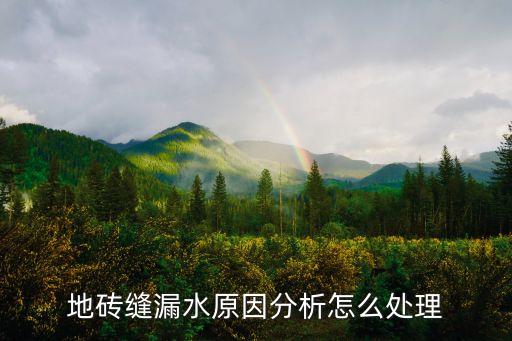 地砖缝漏水原因分析怎么处理