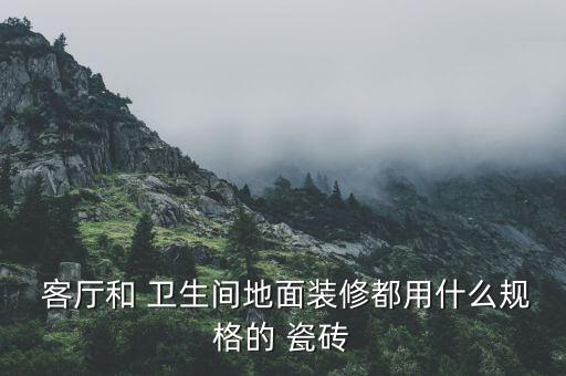  客厅和 卫生间地面装修都用什么规格的 瓷砖