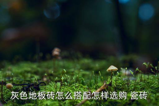 灰色地板砖怎么搭配怎样选购 瓷砖