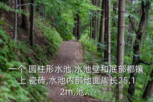 一个 圆柱形水池,水池壁和底部都镶上 瓷砖,水池内部地面周长25.12m,池...
