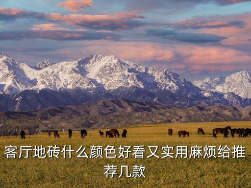 客厅地砖什么颜色好看又实用麻烦给推荐几款