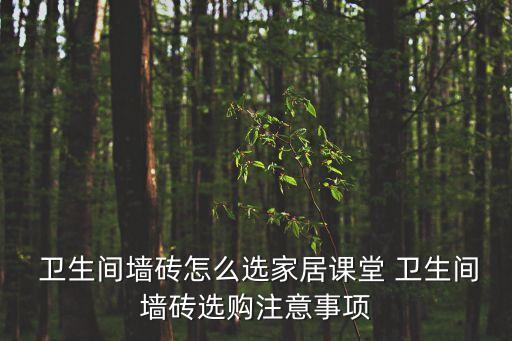  卫生间墙砖怎么选家居课堂 卫生间墙砖选购注意事项