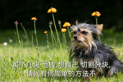 地砖切割卫生间瓷砖,卫生间地砖亮面好还是哑光瓷砖好