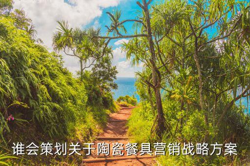 谁会策划关于陶瓷餐具营销战略方案