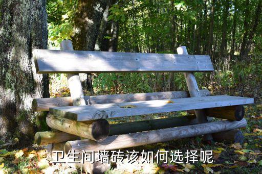  卫生间墙砖该如何选择呢
