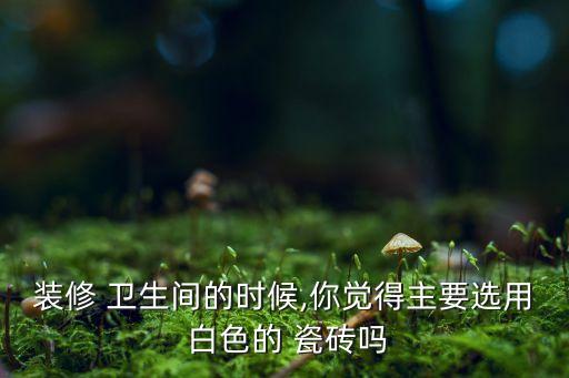 厨房卫生间的瓷砖白色,卫生间厨房瓷砖怎么选