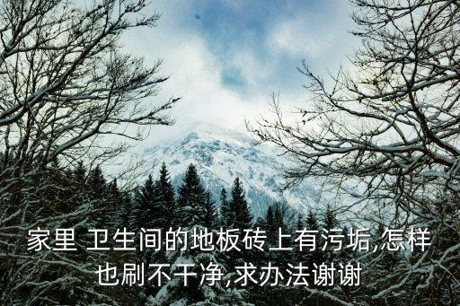 卫生间瓷砖清扫方案图片
