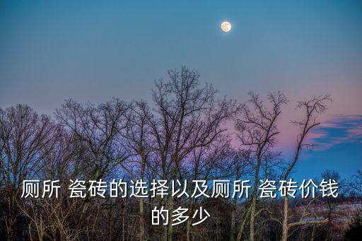 厕所 瓷砖的选择以及厕所 瓷砖价钱的多少