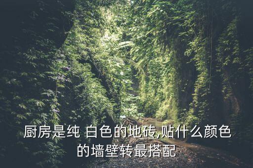  厨房是纯 白色的地砖,贴什么颜色的墙壁转最搭配