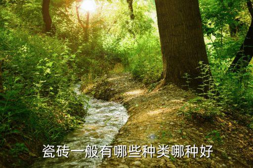 法式极简卧室瓷砖效果图,极简瓷砖店装修效果图