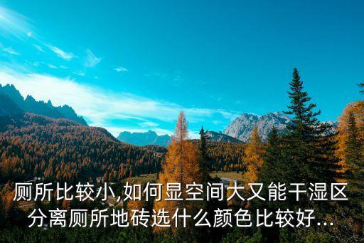 厕所比较小,如何显空间大又能干湿区分离厕所地砖选什么颜色比较好...