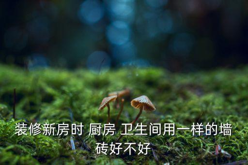 装修新房时 厨房 卫生间用一样的墙砖好不好