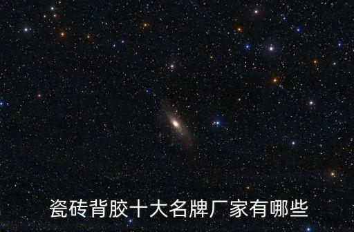  瓷砖背胶十大名牌厂家有哪些