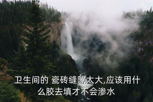  卫生间的 瓷砖缝隙太大,应该用什么胶去填才不会渗水