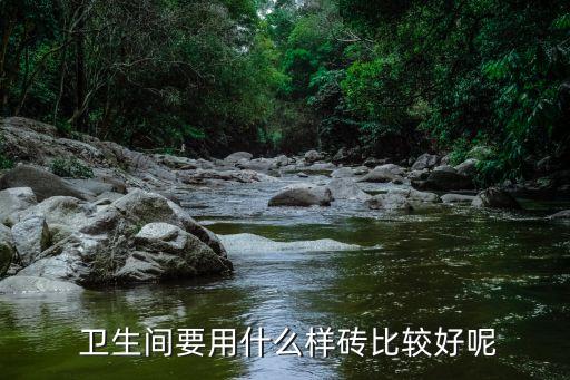  卫生间要用什么样砖比较好呢