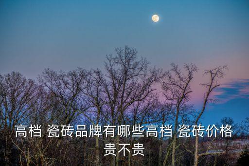 高档 瓷砖品牌有哪些高档 瓷砖价格贵不贵