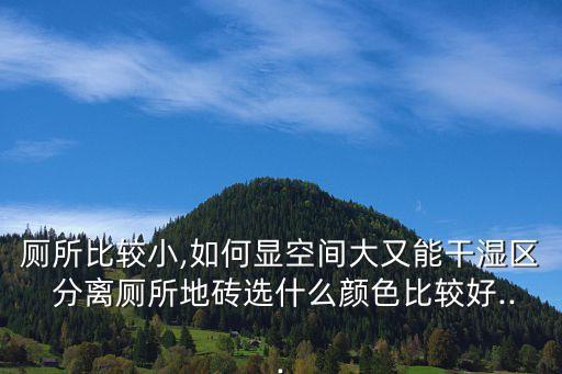 厕所比较小,如何显空间大又能干湿区 分离厕所地砖选什么颜色比较好...