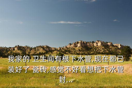瓷砖封闭卫生间,卫生间用什么颜色的瓷砖效果好