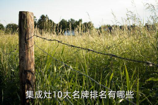 集成灶10大名牌排名有哪些