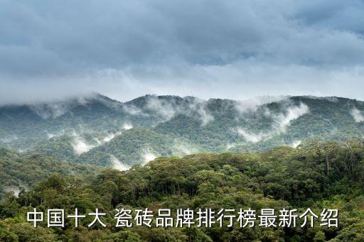 中国十大 瓷砖品牌排行榜最新介绍