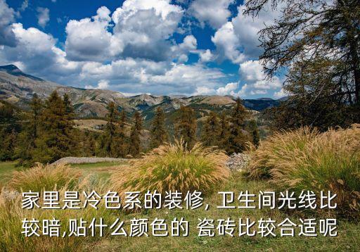 卫生间灰瓷砖太暗了