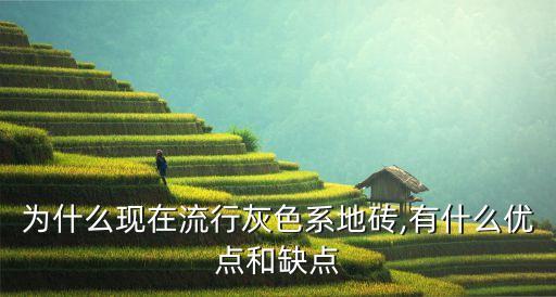 为什么现在流行灰色系地砖,有什么优点和缺点
