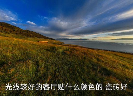 瓷砖踏步砖红色效果图,大理石瓷砖楼梯踏步效果图