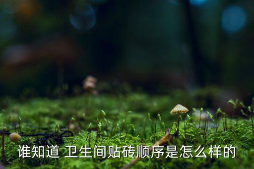 谁知道 卫生间贴砖顺序是怎么样的
