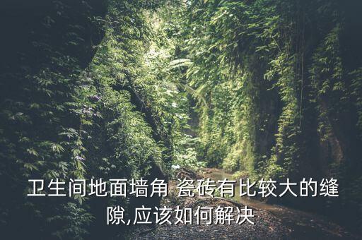 卫生间三角瓷砖美缝效果图