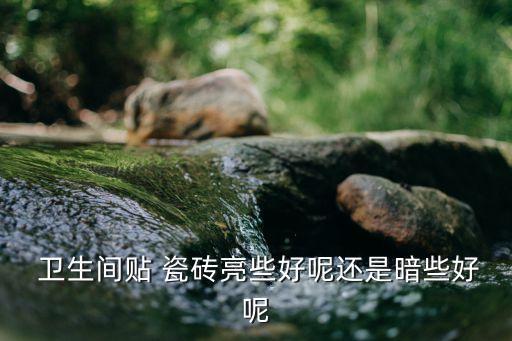  卫生间贴 瓷砖亮些好呢还是暗些好呢