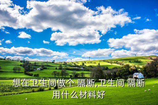 利用瓷砖做隔断效果图,卫生间瓷砖隔断装修效果图