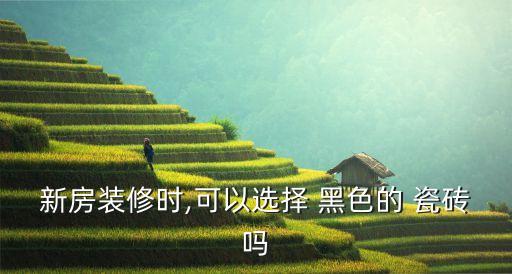 新房装修时,可以选择 黑色的 瓷砖吗