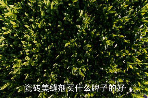 河北防破损瓷砖保护膜品牌