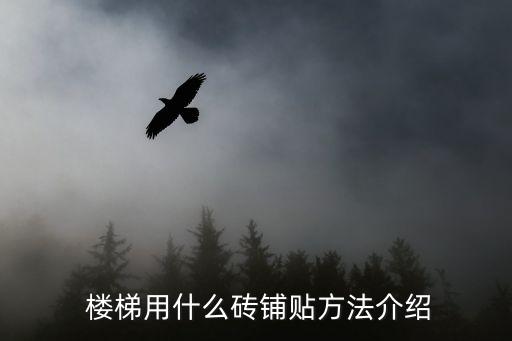 楼梯和地板瓷砖效果图大全,客厅地板瓷砖装修效果图大全