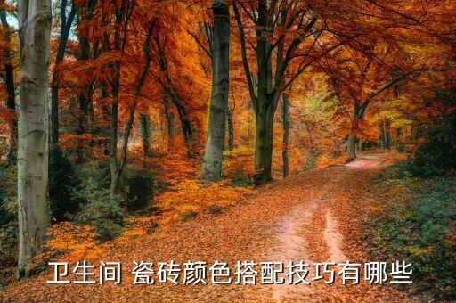  卫生间 瓷砖颜色搭配技巧有哪些