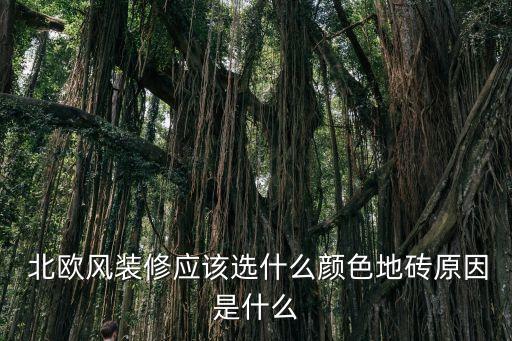  北欧风装修应该选什么颜色地砖原因是什么