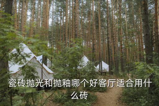 最新瓷砖抛釉效果图,下陷釉瓷砖通铺效果图