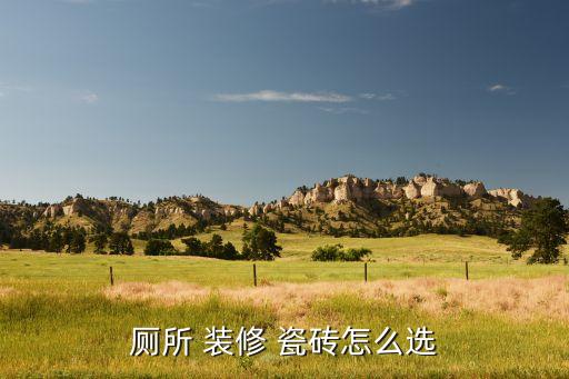 卫生间干区装修瓷砖,2022卫生间瓷砖装修效果图