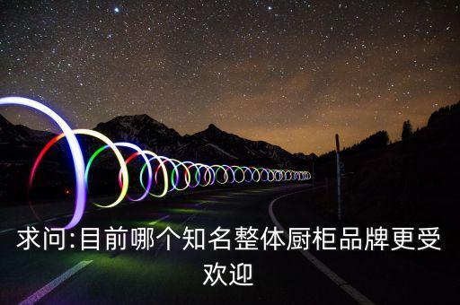 求问:目前哪个知名整体厨柜品牌更受欢迎