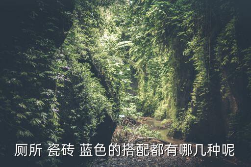 厕所 瓷砖 蓝色的搭配都有哪几种呢