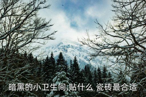 暗黑的小卫生间,贴什么 瓷砖最合适