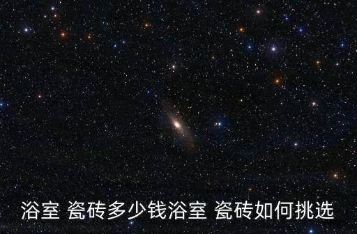 浴室 瓷砖多少钱浴室 瓷砖如何挑选
