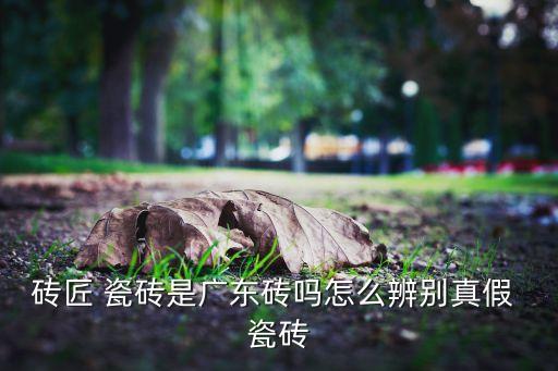 砖匠 瓷砖是广东砖吗怎么辨别真假 瓷砖