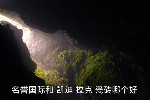 名誉国际和 凯迪 拉克 瓷砖哪个好