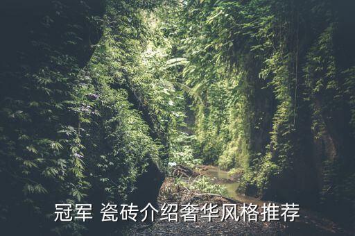 冠军 瓷砖介绍奢华风格推荐